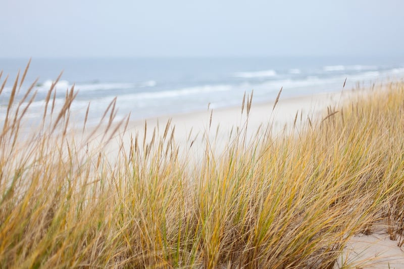 Coastal Walks