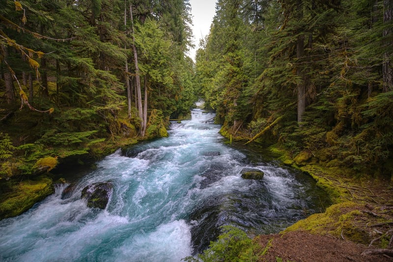 River Rapids